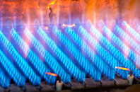 Cosham gas fired boilers